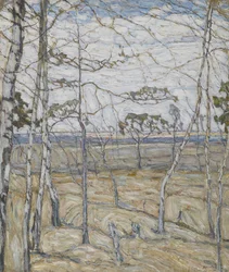 Árvores de vidoeiro